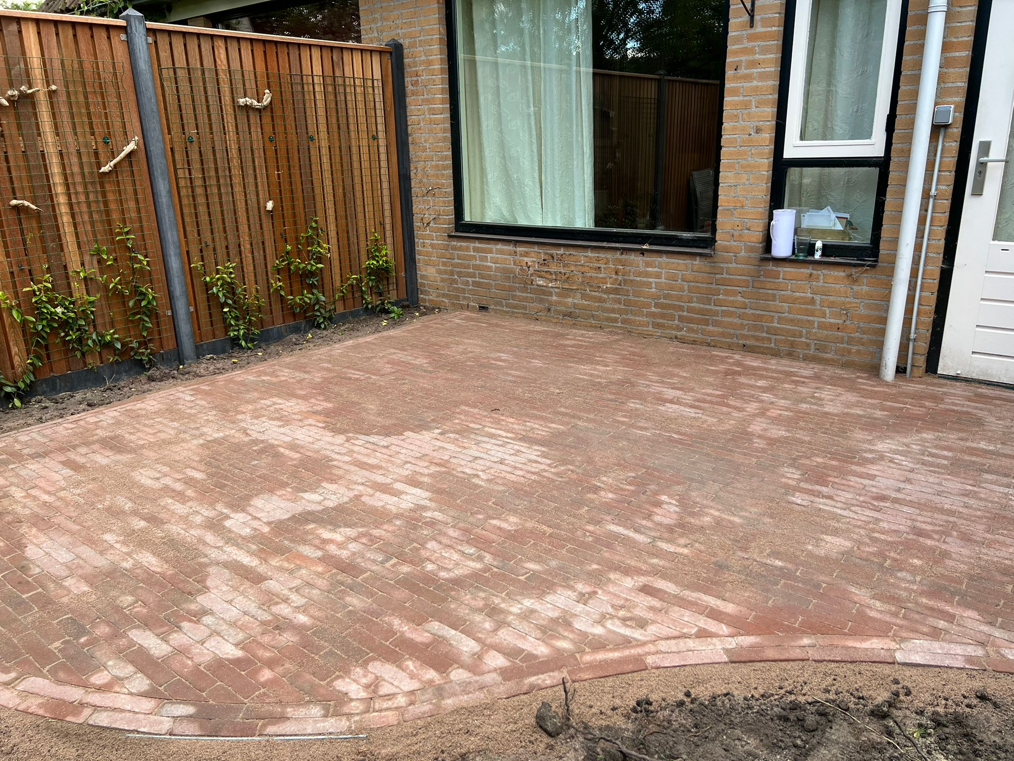 Alkmaar #8